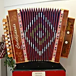 2 La Fisarmonica Del Conero * קסטלפידרדו