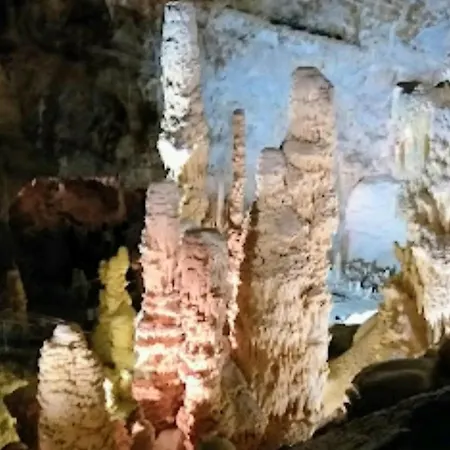 2 La Fisarmonica Del Conero *